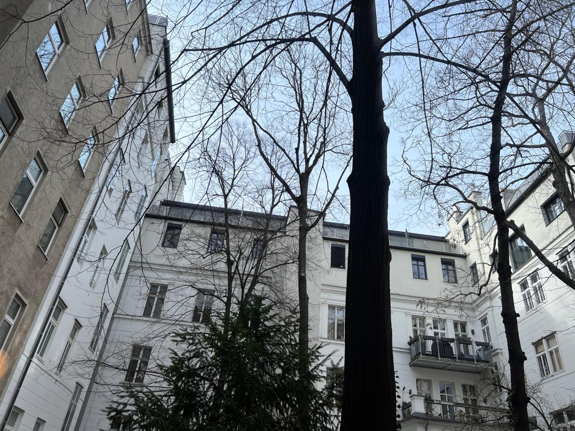 Central Loft Apartment Near Belvedere Castle Viyana Dış mekan fotoğraf